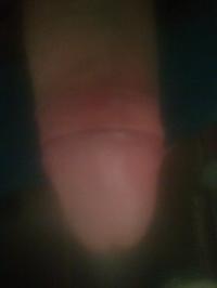 ���� ������������� ����������� �� ������ ������