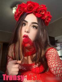 ���� ������������� ������ �� ������ ������