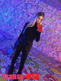 ���� ������������� ����� ���������� �� ������ ������