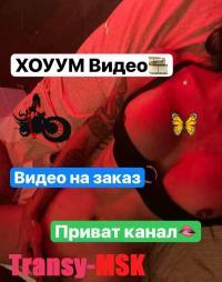 ���� ������������� Dina NEW �� ������ ������