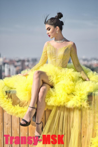 ���� ������������� Tessa XXL �� ������ ������