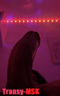 ���� ������������� Sofia �� ������ ������