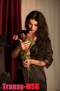 ���� ������������� �������� �� ������ ������