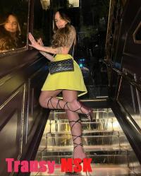 ���� ������������� ���� NEW �� ������ ������