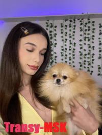 ���� ������������� ���� �� ������ ������