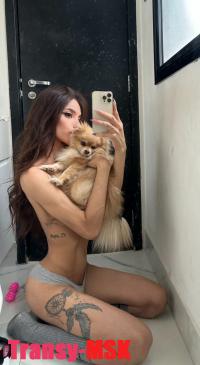 ���� ������������� ������ �� ������ ������