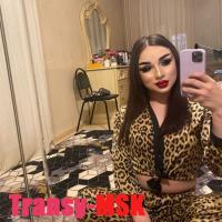 ���� ������������� ���� �� ������ ������