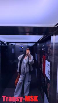 ���� ������������� Albina �� ������ ������