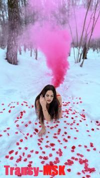 ���� ������������� Darcy �� ������ ������